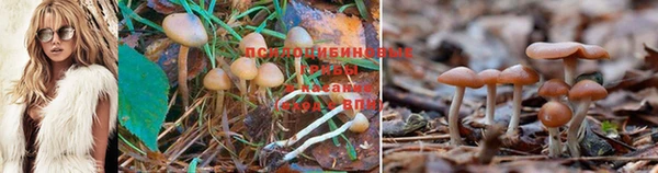MESCALINE Богородск
