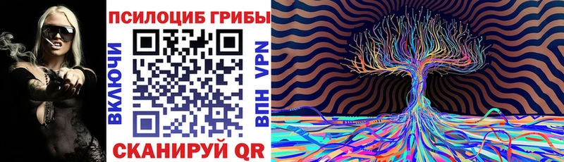 Псилоцибиновые грибы Cubensis Якутск